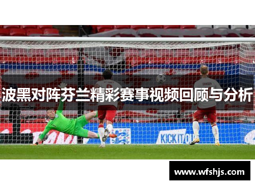 波黑对阵芬兰精彩赛事视频回顾与分析